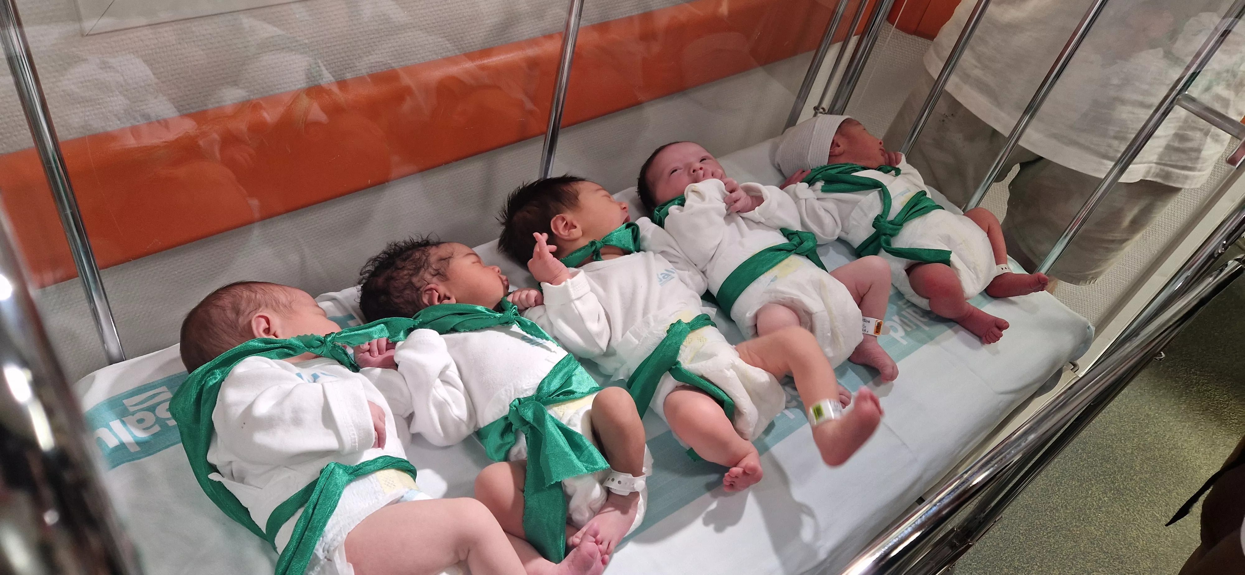 Peña del Chupetín 2023. Foto Myriam Martínez