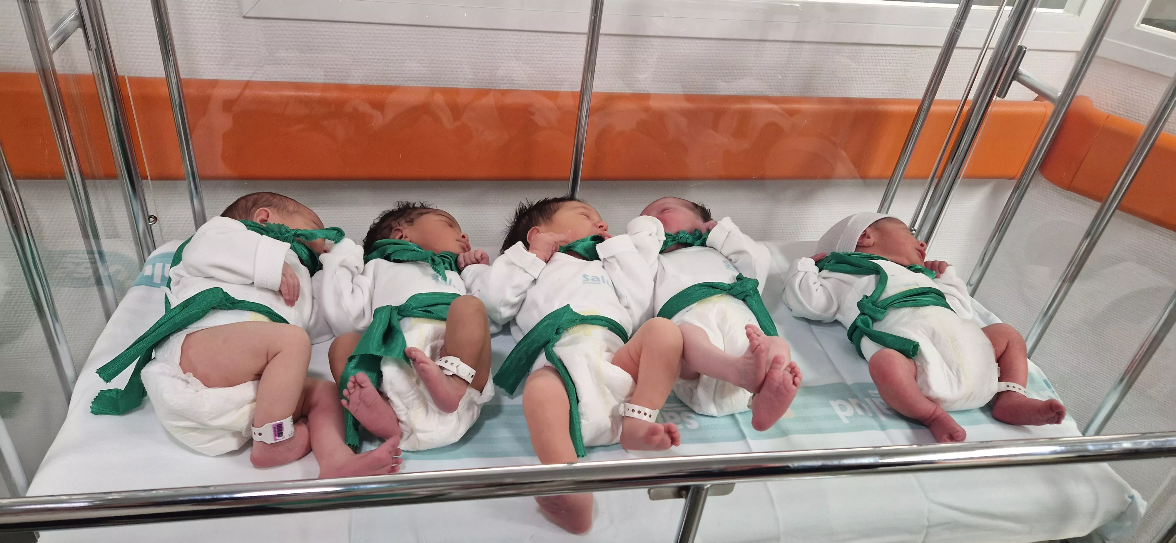 Peña del Chupetín 2023. Foto Myriam Martínez