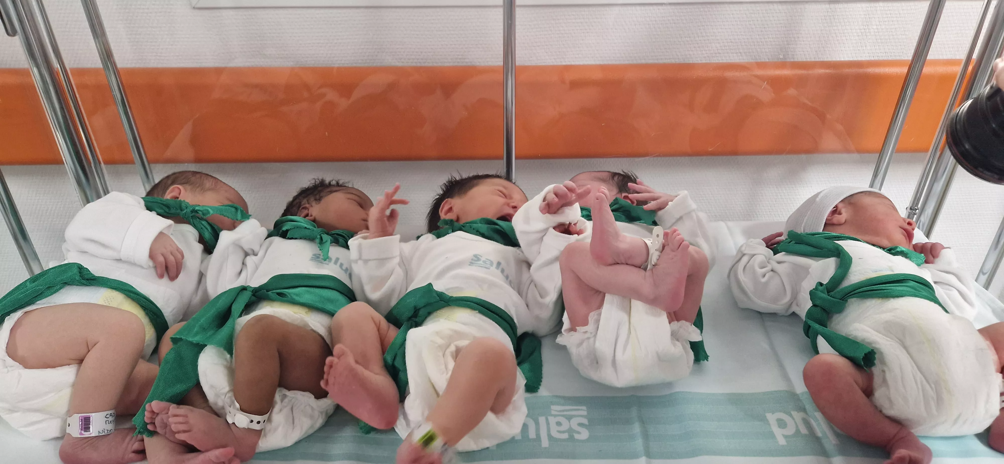 Peña del Chupetín 2023. Foto Myriam Martínez