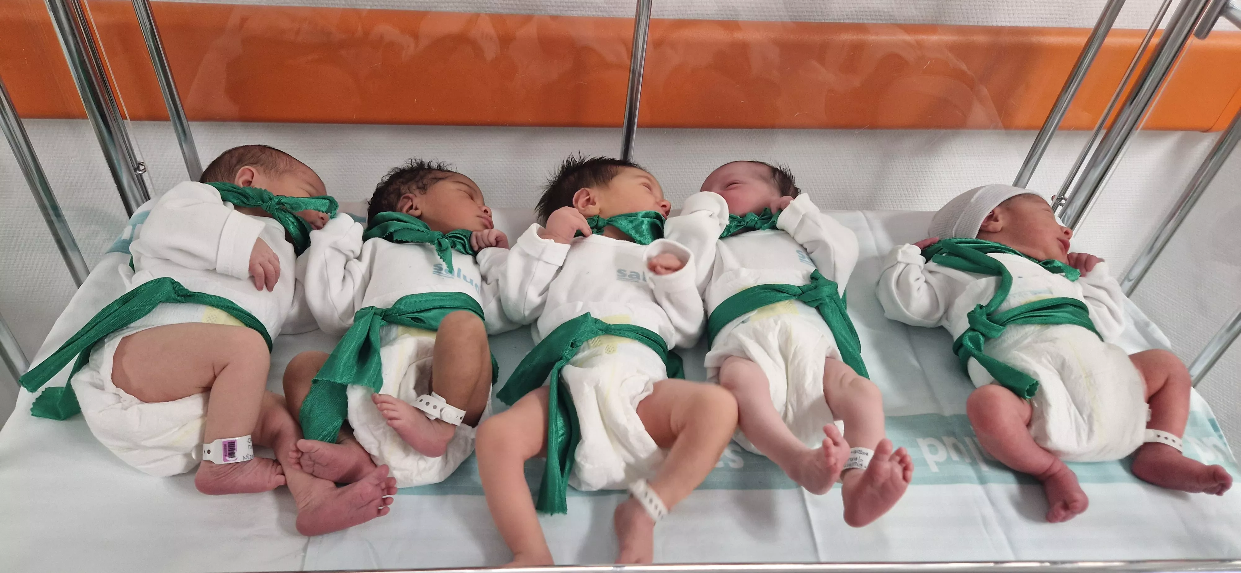 Peña del Chupetín 2023. Foto Myriam Martínez